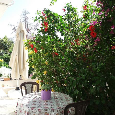 Cizmeci Apart Hotel Çeşme 외부 사진